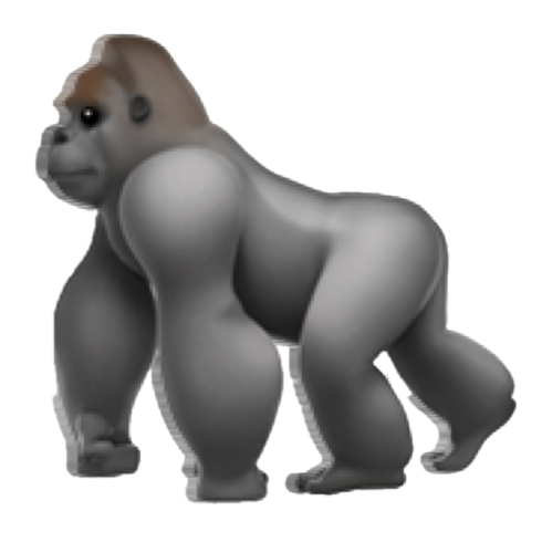 foo🦍 ~/all coding